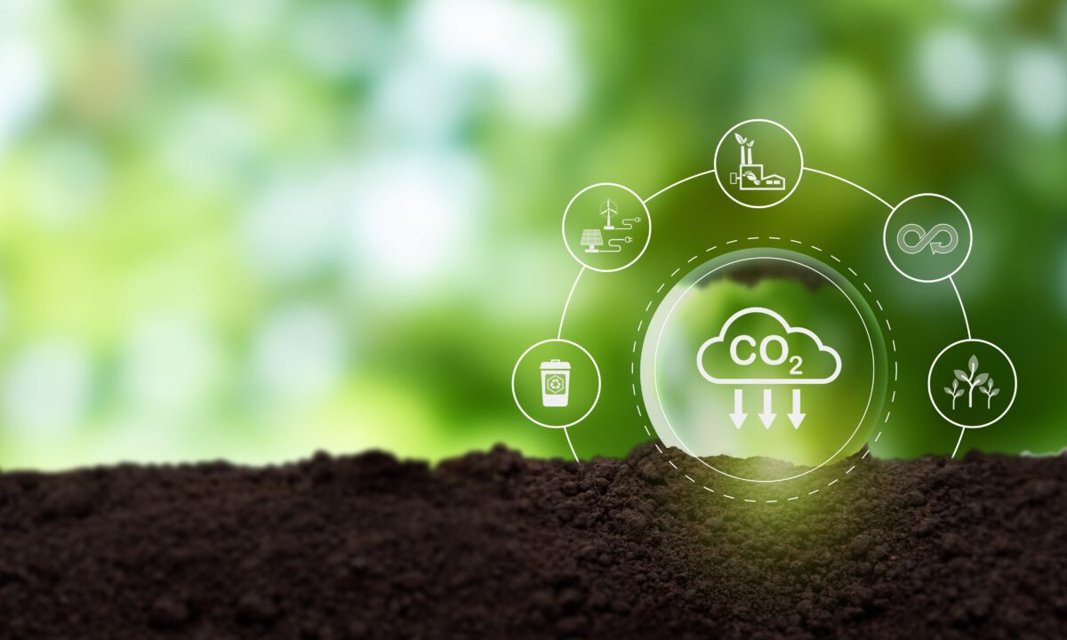 Reduction,Of,Carbon,Emissions,,Carbon,Neutral,Concept.,Net,Zero,Greenhouse
