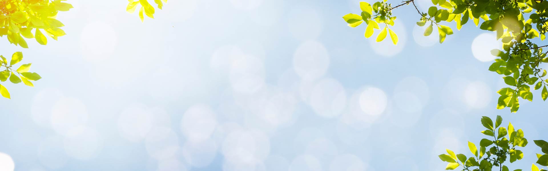 Light Background image