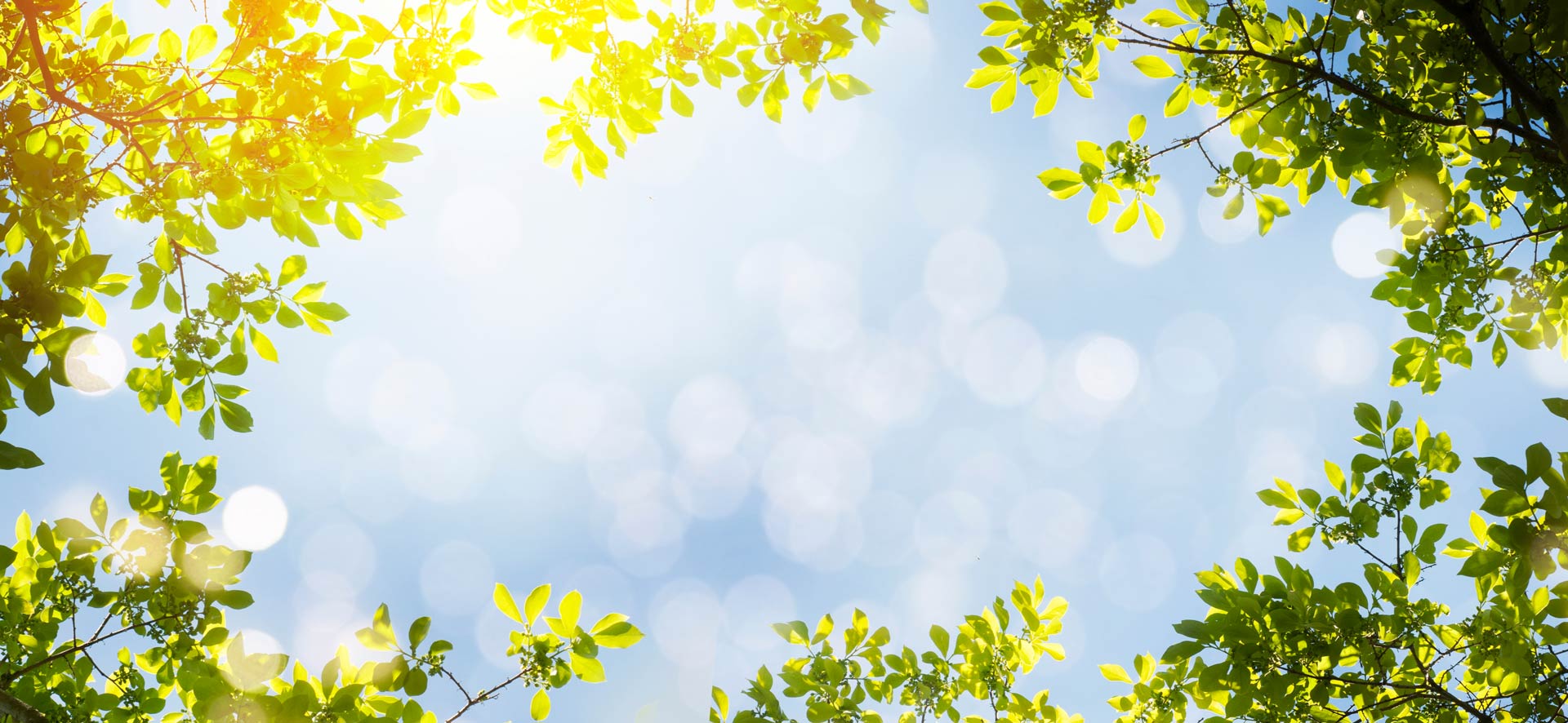 Light Background image